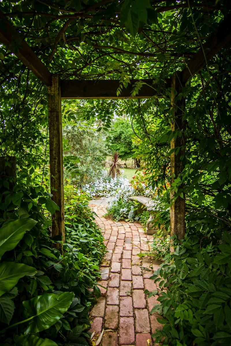 Paisagismo & jardins
